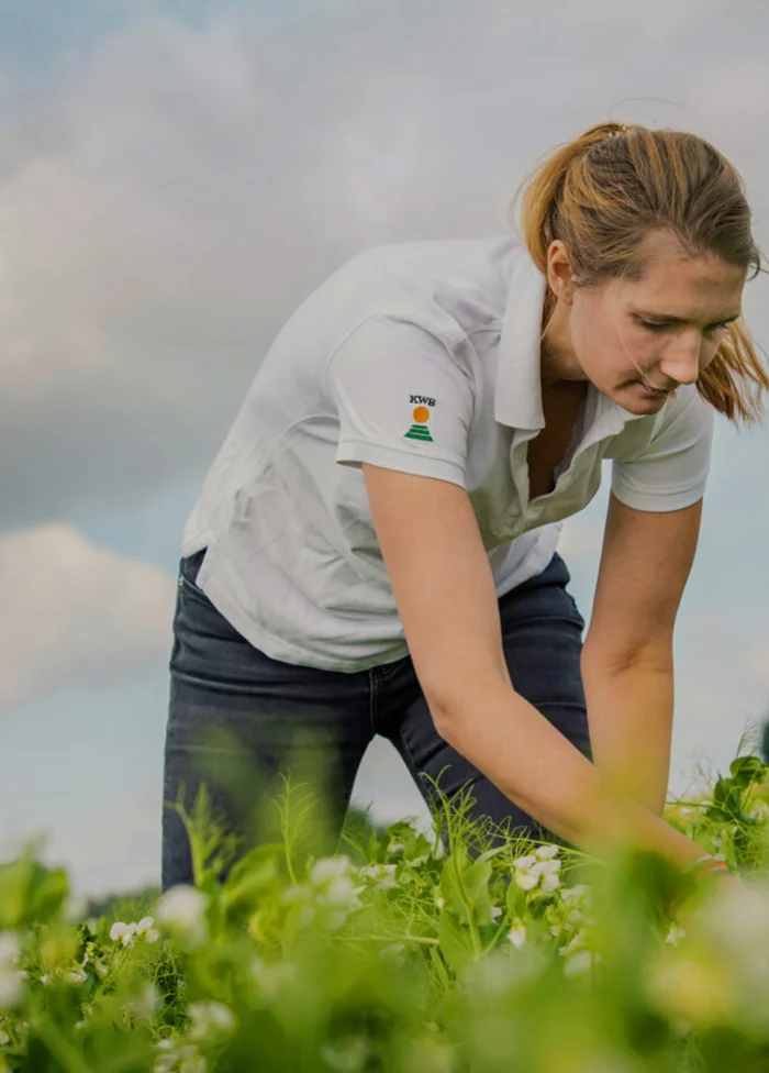 Photo: Sustainability ambition