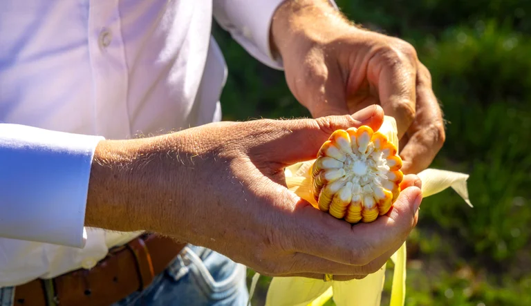 Photo: About us Seeding the Future  for Generations 