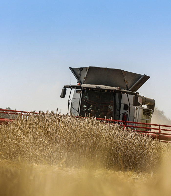 Photo: Lead in fieldcrops & leverage portfolio